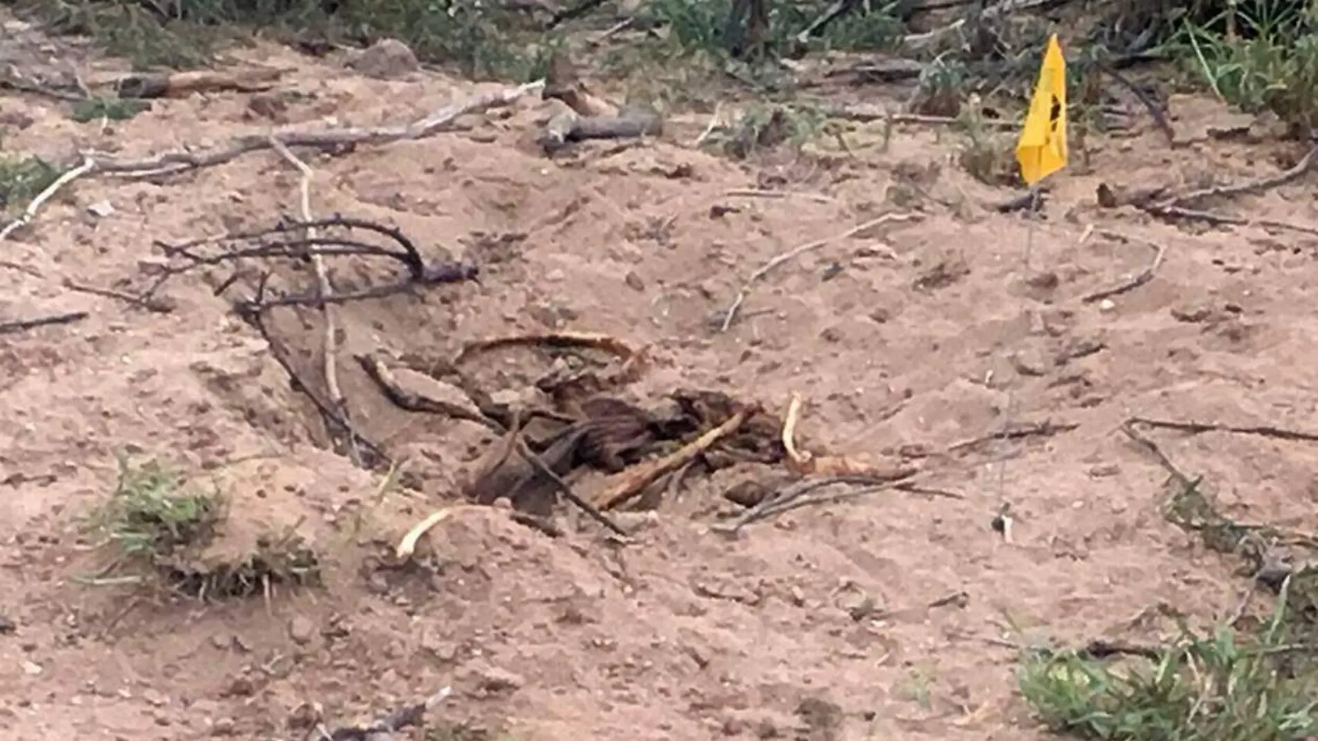 02 Encuentran restos humanos de niña desaparecida en Coahuila